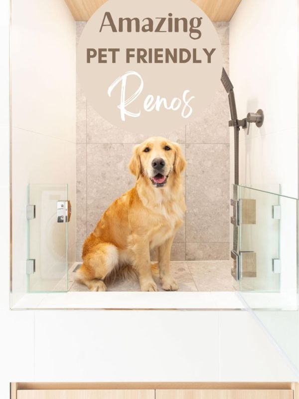 Pet Friendly Laundry Renovation&nbsp;Guide