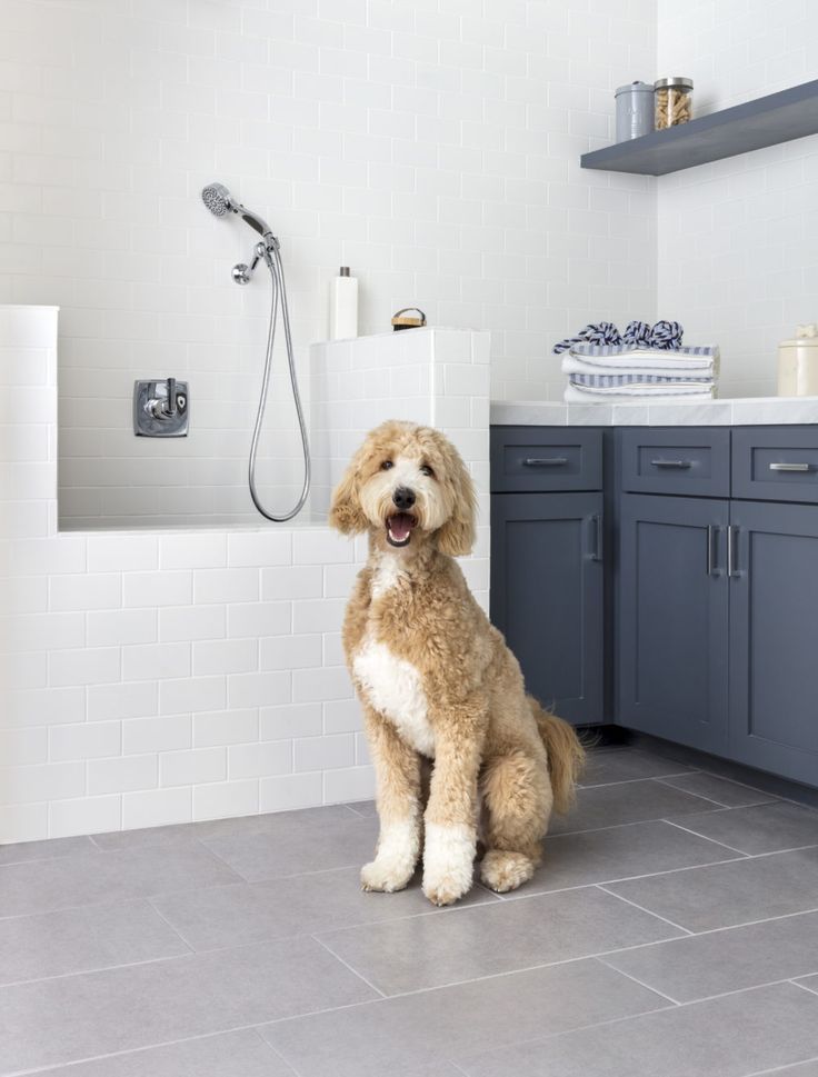 Pet Friendly Laundry Renovations Perth